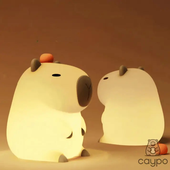 Luminária Caypo - Capy - Caypo