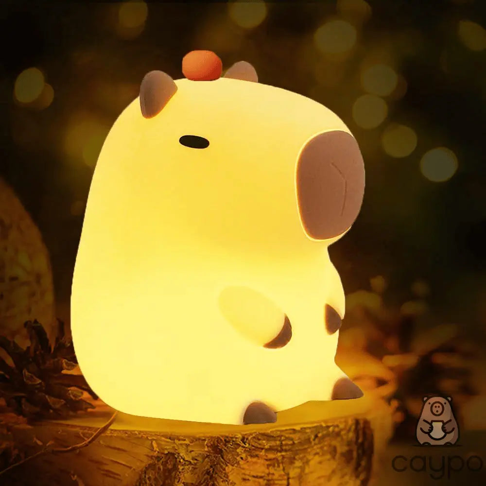 Luminária Caypo - Capy - Caypo